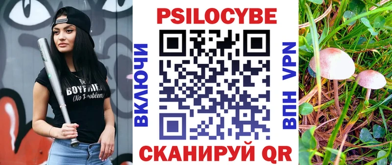 где найти наркотики  hydra зеркало  Галлюциногенные грибы прущие грибы  Хабаровск 